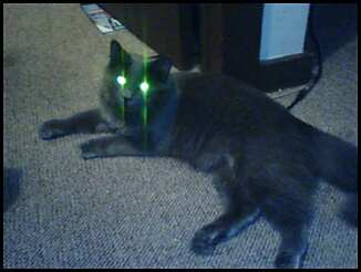 creepyfuzz.jpg